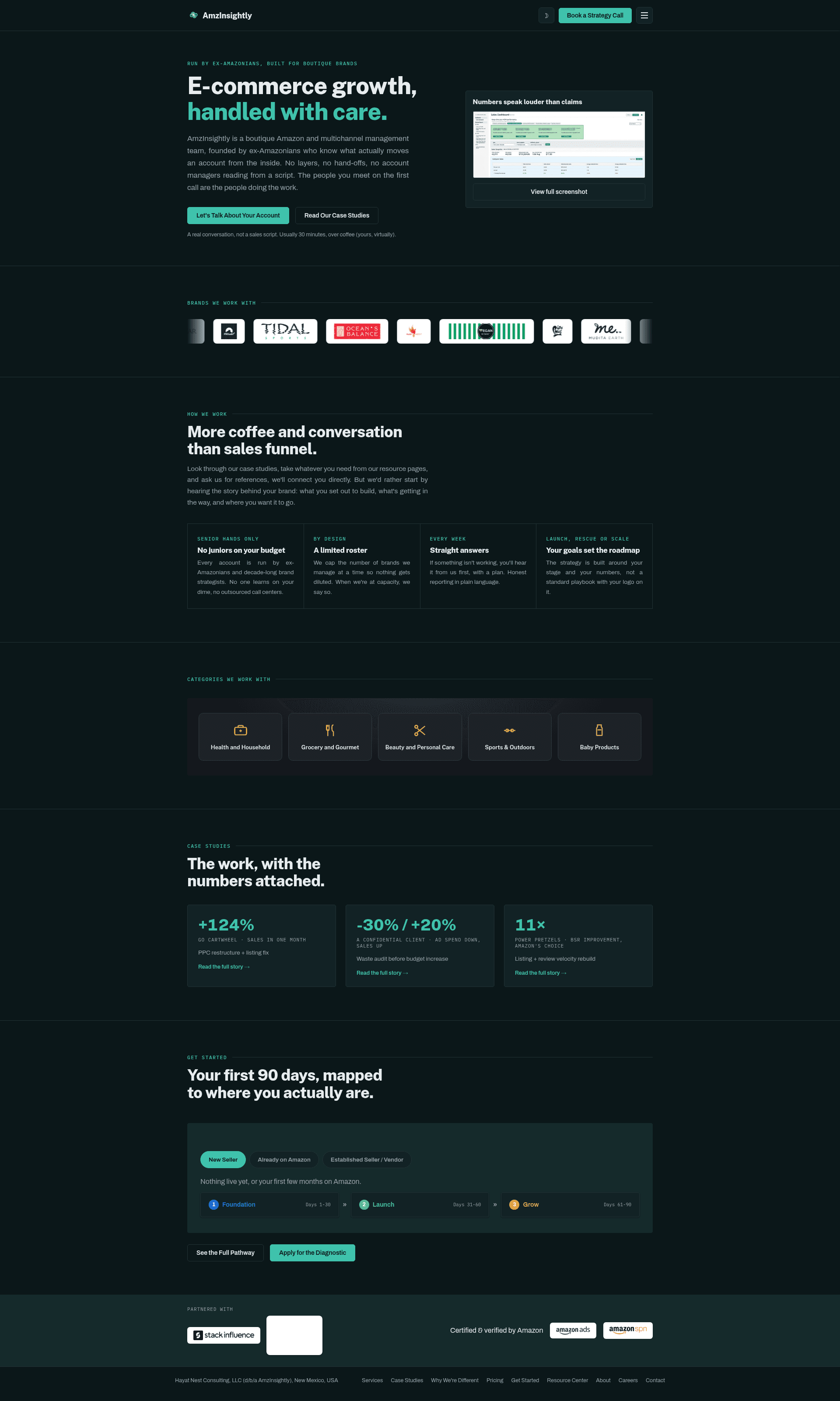 AmzInsightly website screenshot