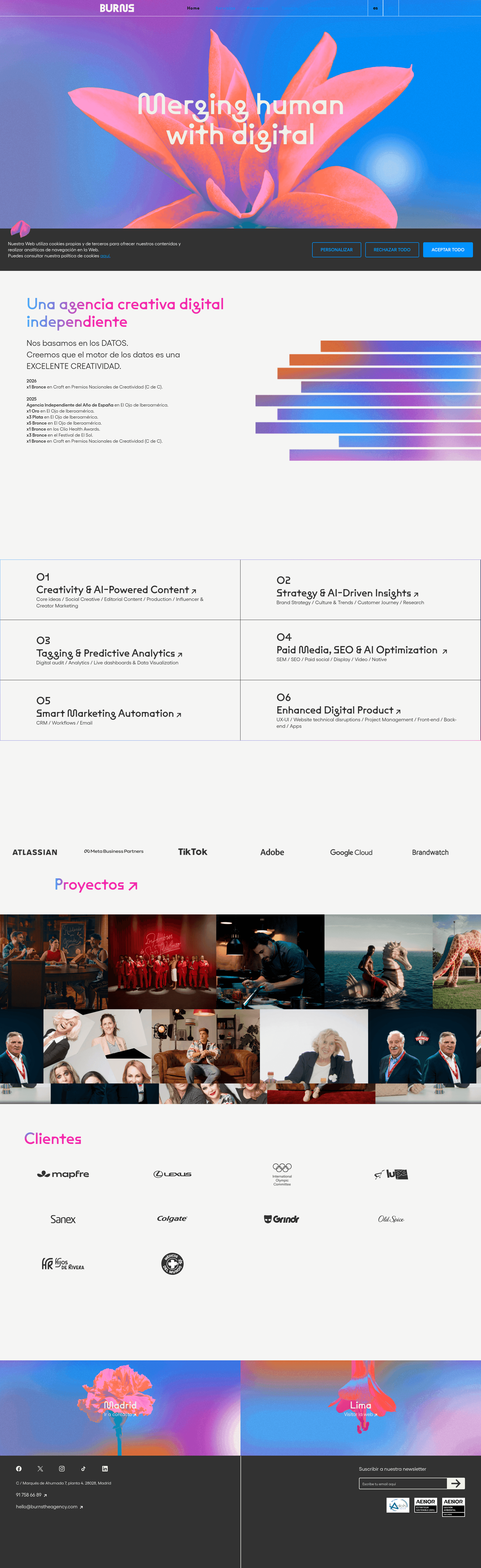 Burns website screenshot