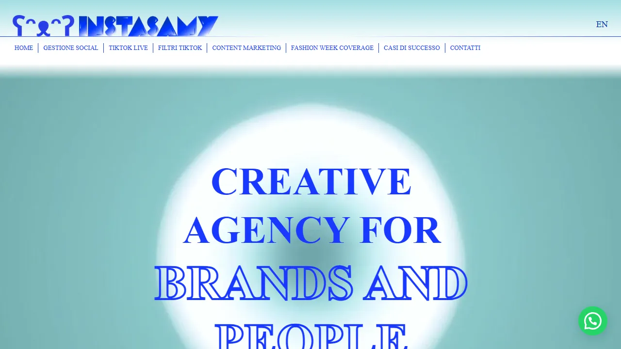 Screenshot of INSTASAMY