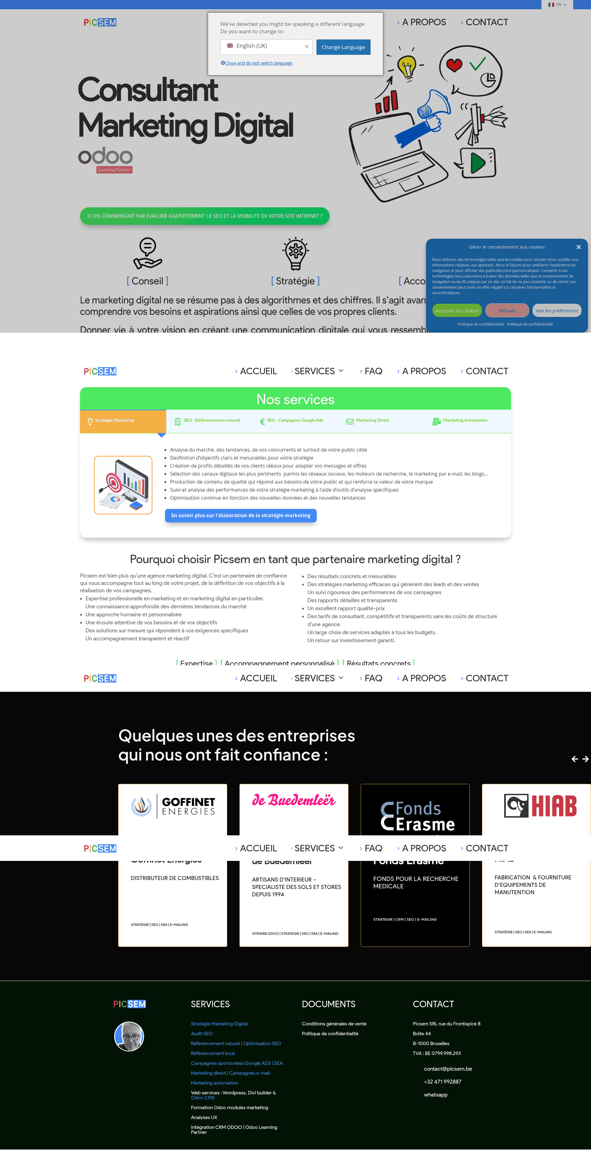 Picsem website screenshot