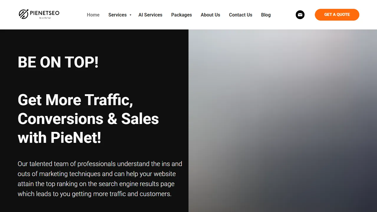 PienetSEO website screenshot