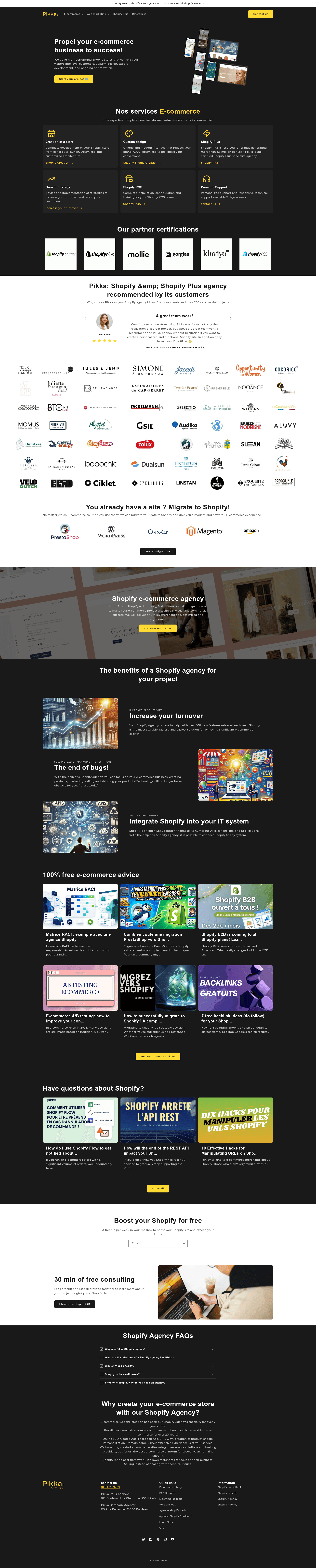 Pikka Agency website screenshot