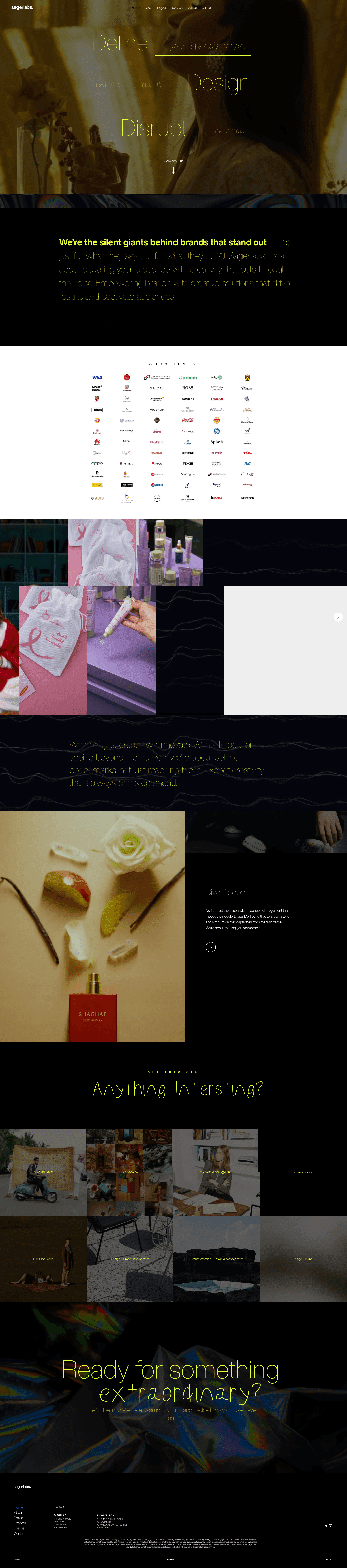 Sagerlabs website screenshot