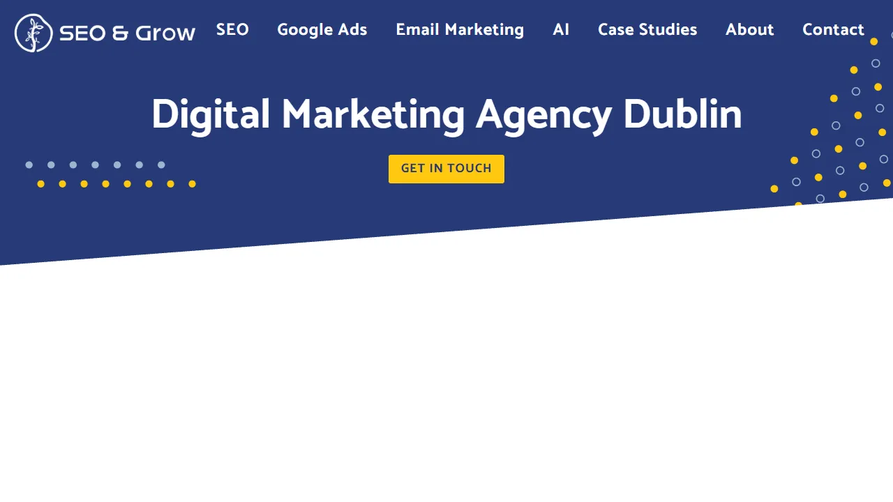 SEO & Grow website screenshot