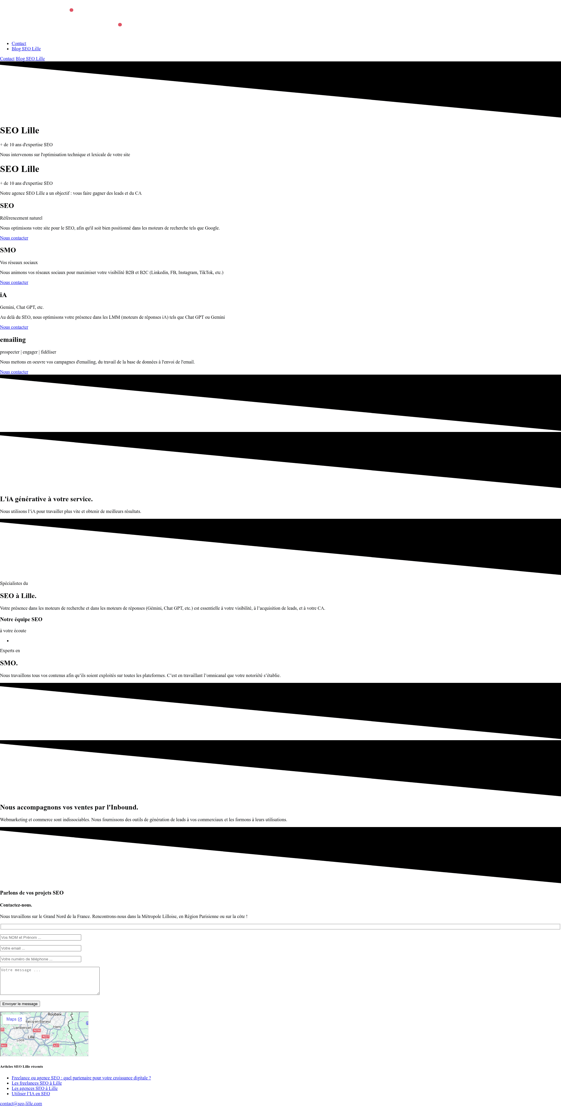 SEO Lille website screenshot