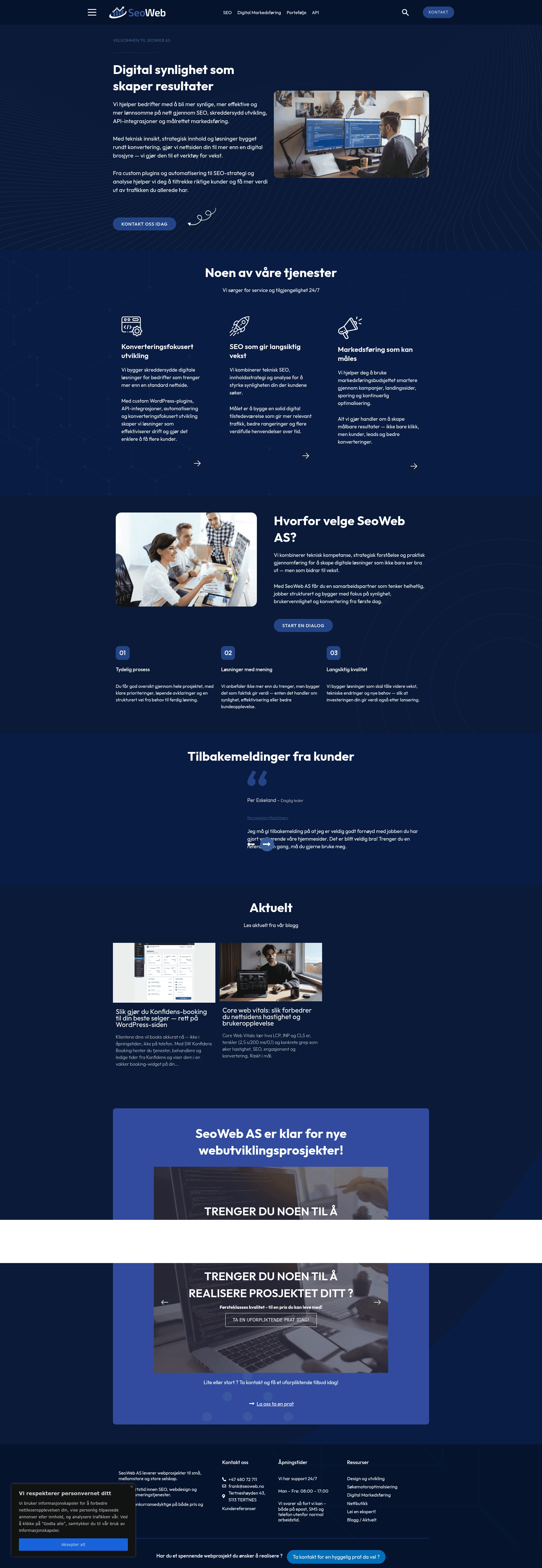 Seoweb website screenshot
