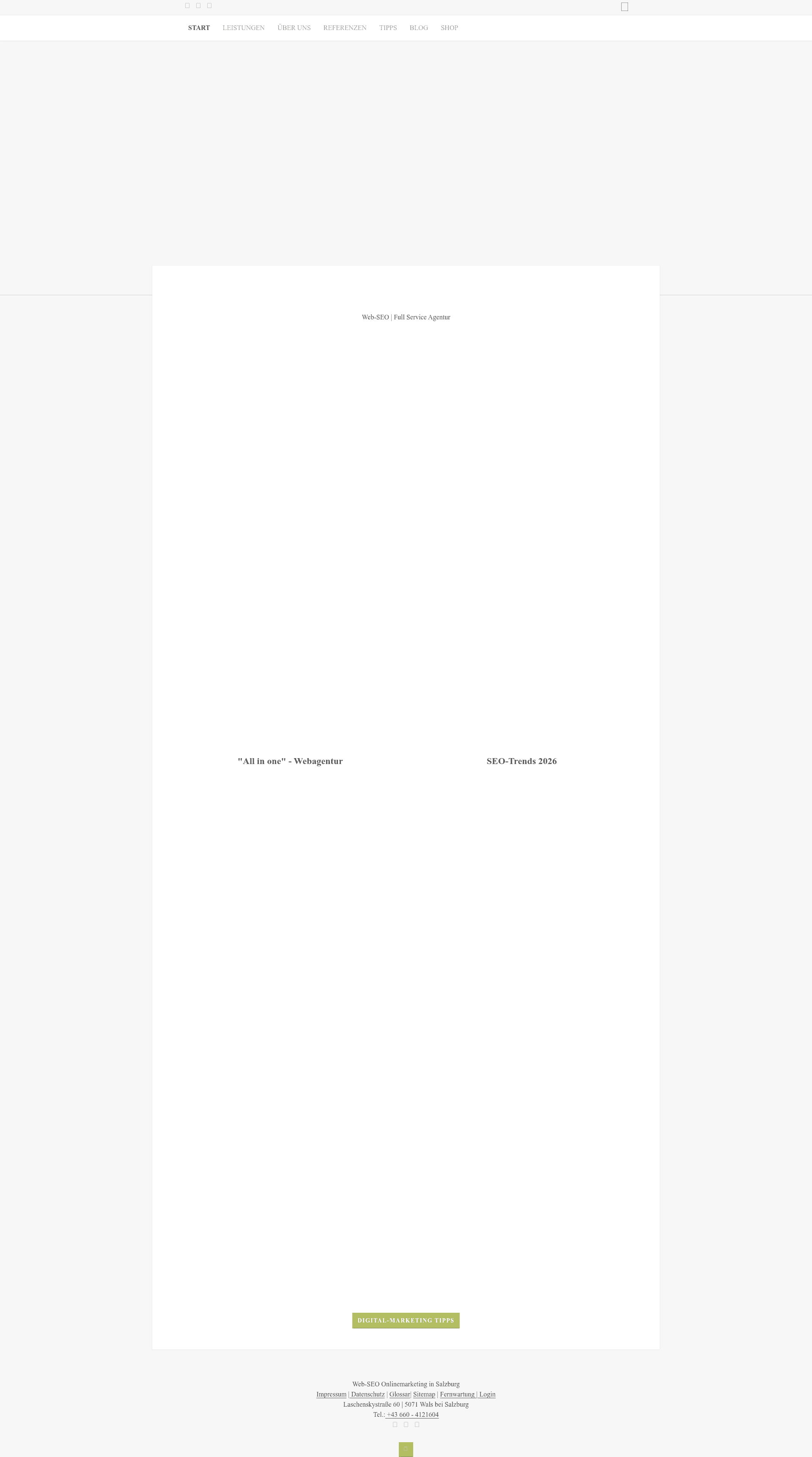 Web-SEO website screenshot