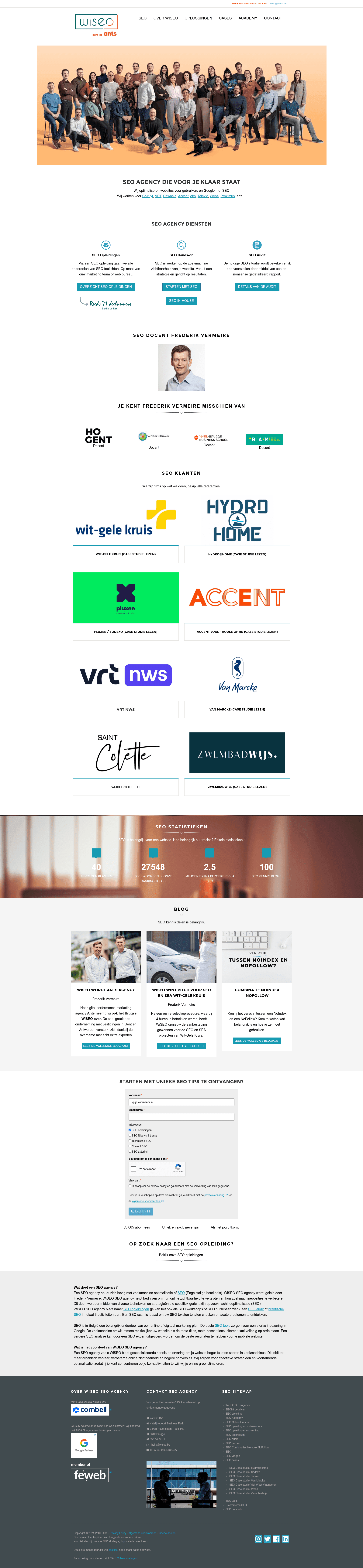 WiSEO website screenshot