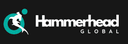 HammerHead Global