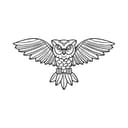 Morphiaas USA