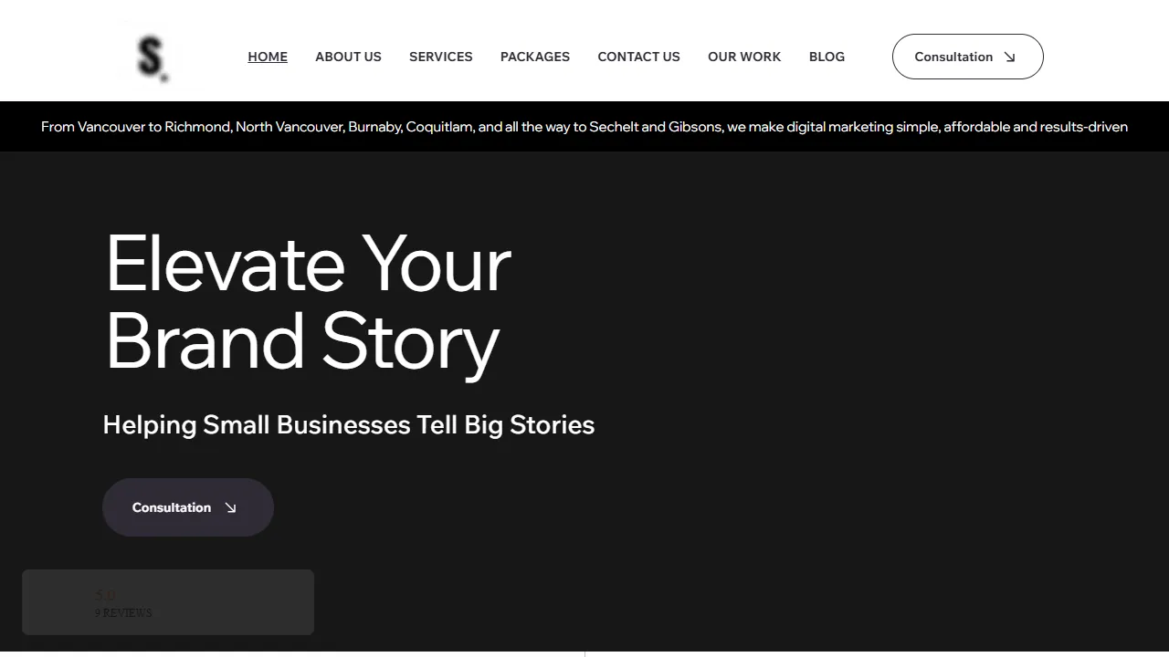 Social Media Solutions for Small Business website screenshot